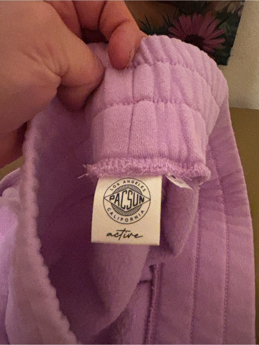 Pacsun Girls' Lavender Terry Shorts - Picture 8 of 10